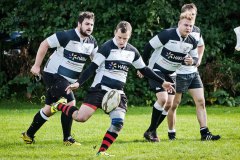 Rugby FT Adler Kiel