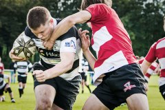 Rugby FT Adler Kiel